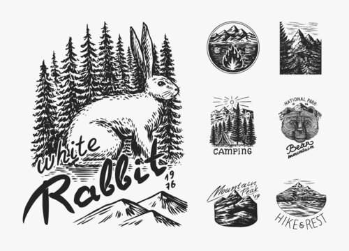 Mountains peaks. Forest Trees and tent and sun. Nature landscape with fir trees. Camping logolabel. Adventure. Badge on the chalkboard. Hand drawn old vintage pin. Sketch in engraved outline style.