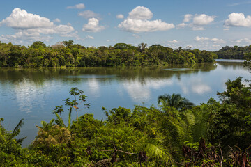 Landscape of the Amazon jungle, in Lago Sandoval, Tambopata, Peru