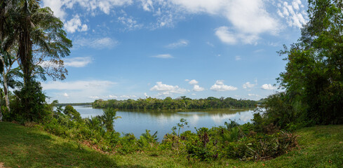 Landscape of the Amazon jungle, in Lago Sandoval, Tambopata, Peru