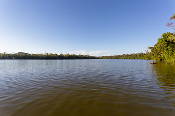 Landscape of the Amazon jungle, in Lago Sandoval, Tambopata, Peru