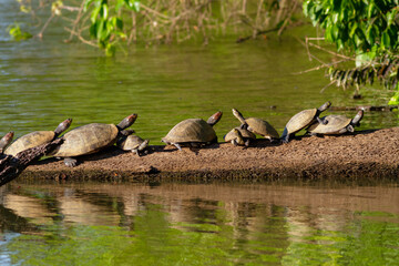 LA PLAYA ESTA LLENA.