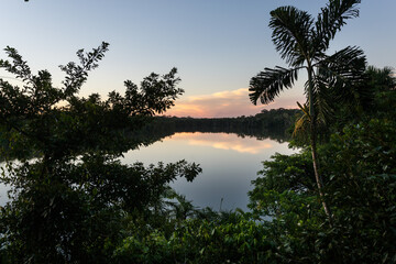 Landscape of the Amazon jungle, in Lago Sandoval, Tambopata, Peru