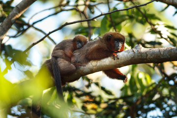 MADRE E HIJO.