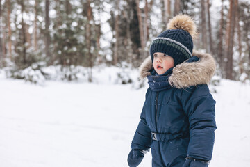 Fototapeta na wymiar Child walking in snowy spruce forest. Little kid boy having fun outdoors in winter nature. Christmas holiday. Cute happy toddler boy in blue overalls and knitted scarf and cap playing in park.