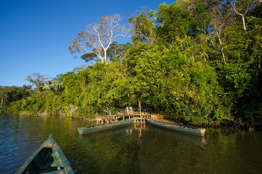 Panoramic view of the pier of  Sa
ndoval lake, in the Madre de Dios region, in Peru
