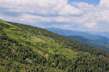 Fototapeta premium Panoramic views of the beautiful landscape in the Carpathian mountains. Tourism or Freedom concept. Wild nature, summer landscape. Discover the beauty of earth.