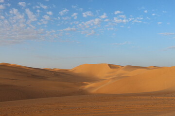 sand dunes in the desert