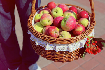 basket of apples