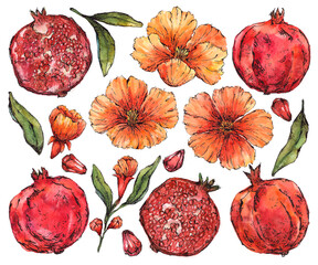 Set of pomegranate, flowers and seeds watercolor and ink hand drawn isolated on white