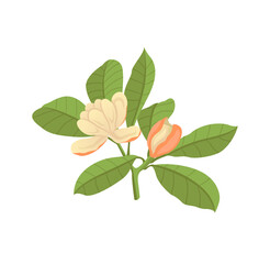 Evolution of life forms on Earth concept