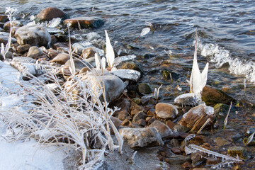  Close-up view of plants and rocks encased in ice