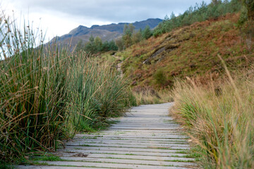 Walking trail in Glenfinnan Valley, Scottish Highland, UK