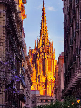 Sunlit Gothic cathedral of Barcelona the centre of the Catalan capital. Catalonia, Spain
