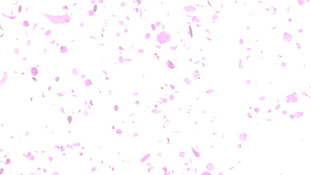 24 0 件の最適な 透過光 画像 ストック写真 ベクター Adobe Stock