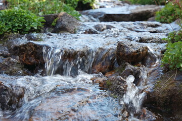 waterfall in the forest