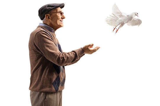 Happy elderly man with a white dove flying from his hands