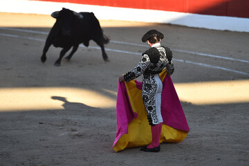 un espectaculo de toreo en una plaza de toros