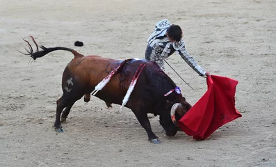 Fotobehang un espectaculo de toreo en una plaza de toros © alberto