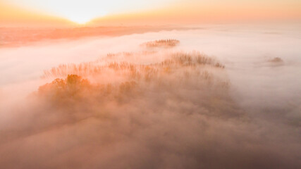 Fototapeta na wymiar Aerial view of foggy morning with trees at autumn