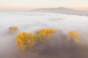Aerial view of foggy morning with trees at autumn