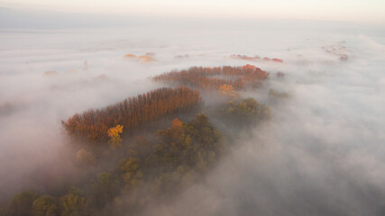 Naklejka na ściany i meble Aerial view of foggy morning with trees at autumn