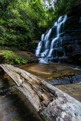 Beautiful natural waterfall in the forest