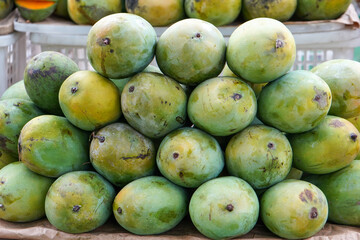 Mangifera indica, commonly known as mango is a species of flowering plant in the sumac and poison ivy family Anacardiaceae. Mangifera laurina is species of flowering plant in the family Anacardiaceae.