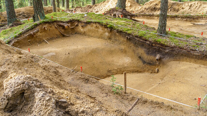 Archaeological excavation in a forest. A large plundering pit dug by archaeologist at an archaeological site.