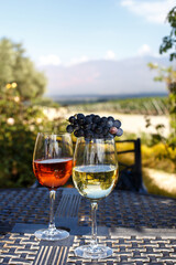 Plakat Glasses with white and rose wine against the background of vineyards