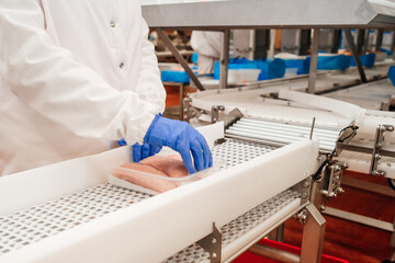 Conveyor Belt Food.The meat factory. Chicken fillet production line . Factory for the production of food from meat.Modern poultry processing plant.
