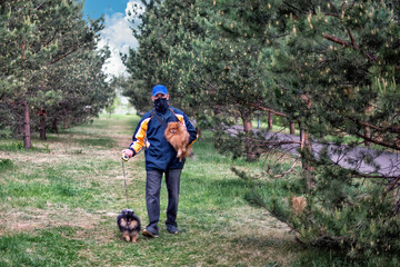 A man wearing respirator mask walking with Pomeranian dogs in the forest protecting from COVID-19.
