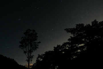 Obraz na płótnie Canvas night sky with stars