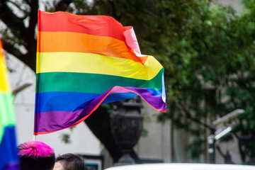 Gay rainbow girl flag waving at an LGBT gay pride march in Mexico City