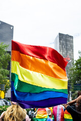 Large gay rainbow flag at an LGBT gay pride march in Mexico City