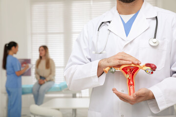 Gynecologist demonstrating model of female reproductive system in clinic, closeup - obrazy, fototapety, plakaty