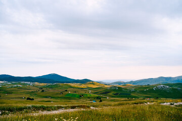 Fototapeta na wymiar Grasslands with mountains in the background in Durmitor National Park