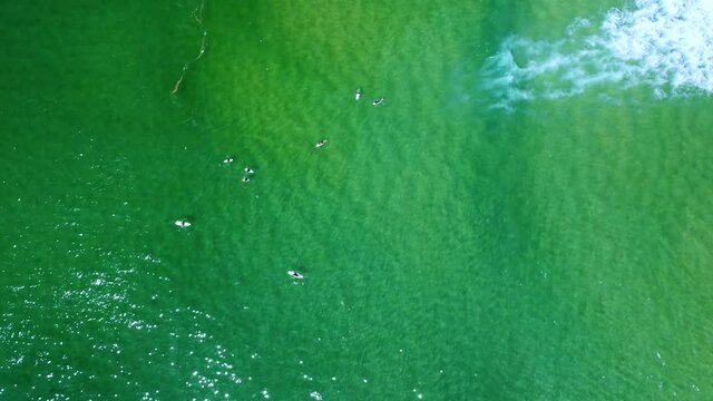 Aerial drone shot of people surfing Newcastle Beach crystal clear waves water swell tourism Pacific Ocean NSW Australia 4K