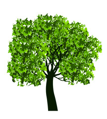 Fototapeta premium Green Tree. Vector outline Illustration. Plant in Garden and landscape element.