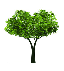 Fototapeta na wymiar Green Tree. Vector outline Illustration. Plant in Garden and landscape element.