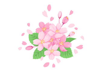 Fototapeta na wymiar 桜の花のイラスト　白背景に挿絵　春のデザイン用ベクターイラスト
