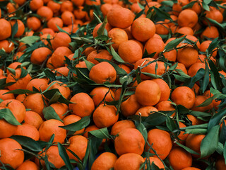 fresh tangerines in the market