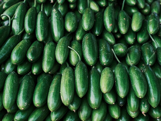 fresh cucumbers in the market