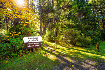 Gaudineer knob sign in Monongahela National Forest Appalachian mountains West Virginia hiking scenic trail entrance to moss forest in morning sunrise
