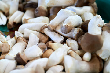 Close-up view of pleurotus eryngii in the market