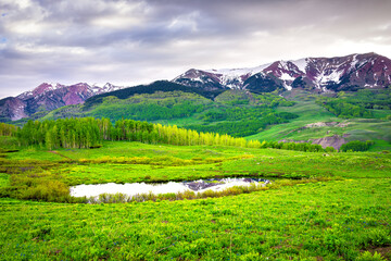 Fototapeta na wymiar Green Aspen trees forest and stormy sky in Crested Butte, Colorado Snodgrass hiking trail in summer with snow rocky mountains in background