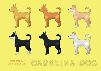 Dog Carolina Dog Coloring Variations Cartoon Vector Illustration