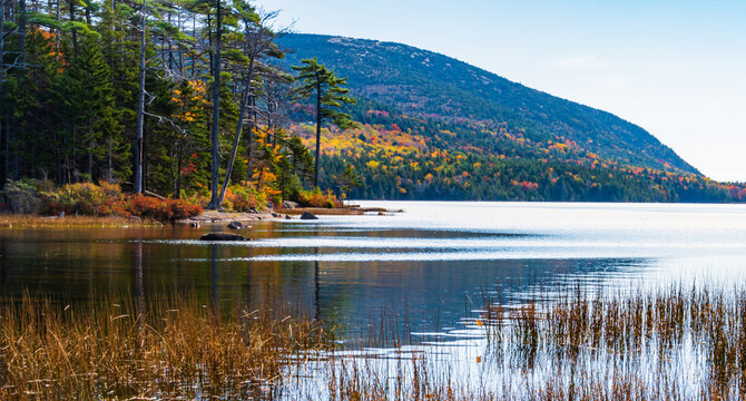 Eagle Lake shoreline in Acadia National Park, Maine, USA
