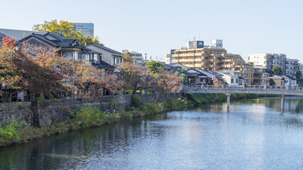 金沢 浅野川 紅葉 ひがし茶屋街