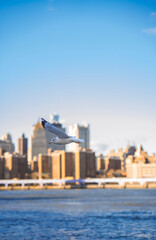 Bird flying by the brooklyn bridge 