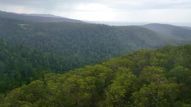 A drone flying in the rain over a lush prehistoric forest below.